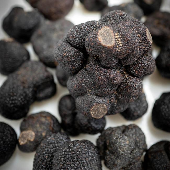 La Truffe du Périgord - La truffe du Périgord